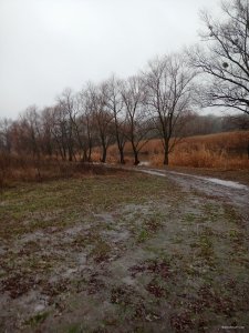 IMG20210102084511.jpg