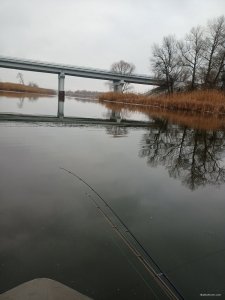 IMG20210102100948.jpg