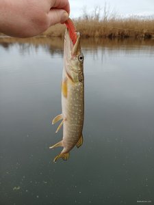 IMG20210102124045.jpg
