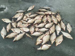 IMG_20210102_142314.jpg