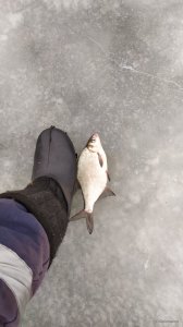 IMG_20210103_140137.jpg