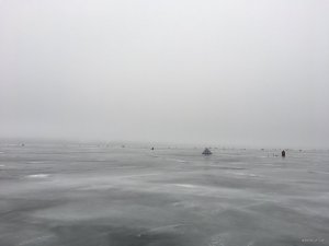 C51FAC12-DDBB-4BBA-A40F-4062B2E24539.jpeg