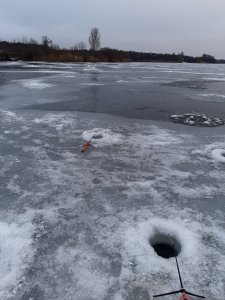 20210105_143159.jpg