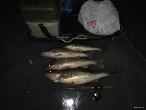 IMG_20210105_165318.jpg