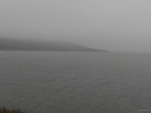 IMG_20210105_124412.jpg