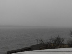 IMG_20210105_124419.jpg