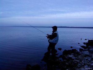 IMG_20201227_161810.jpg