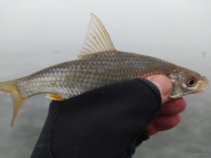 IMG_20210107_101726.jpg