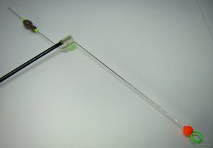 IMG_3353.JPG