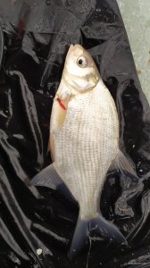 IMG_20210107_121251.jpg