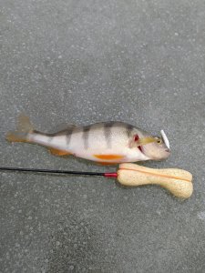 IMG_20210108_124841.jpg