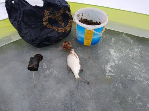 IMG_20210107_145622.jpg