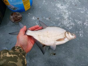 IMG_20210107_151453.jpg
