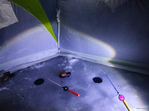 IMG_20210107_164845.jpg