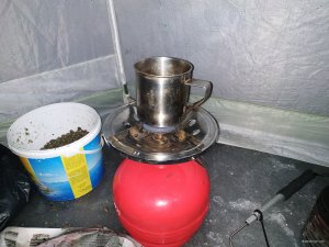 IMG_20210107_182436.jpg