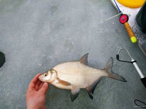 IMG_20210108_080002.jpg