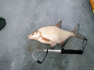 IMG_20210108_080012.jpg