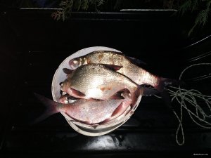 IMG_20210108_160835.jpg