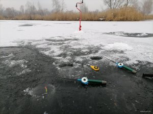 IMG_20210109_093234.jpg