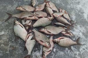IMG_20210109_205020.jpg