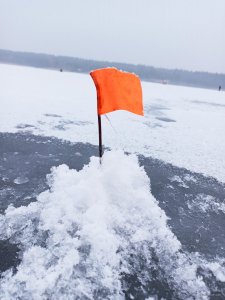 IMG_20210109_081530.jpg