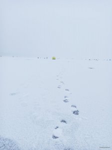 IMG_20210109_102214.jpg