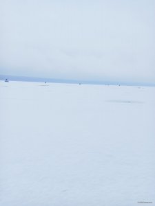 IMG_20210109_123340.jpg