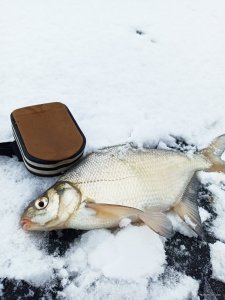 IMG_20210109_130306.jpg
