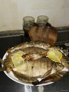IMG-ded31cbc589dc942d8f215fadaedb1da-V.jpg
