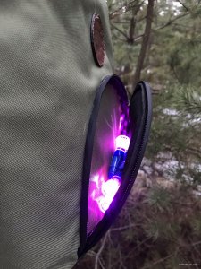 IMG_6017.JPEG