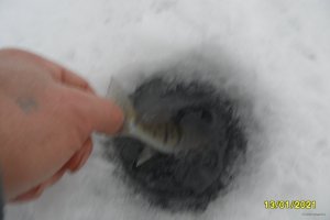 SAM_2089.JPG
