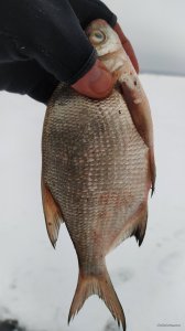 IMG_20210115_105549.jpg