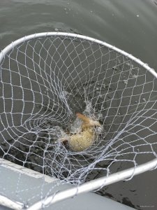 IMG_20210109_113347.jpg