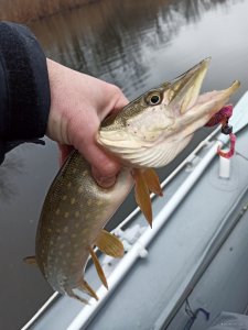IMG_20210109_130811.jpg