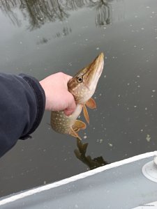 IMG_20210109_130831.jpg