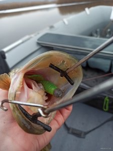 IMG_20210109_143502.jpg