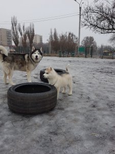 IMG-20210118-WA0010.jpg