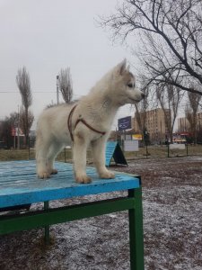 IMG-20210118-WA0014.jpg