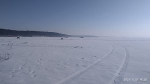 IMG_20210120_113006.jpg