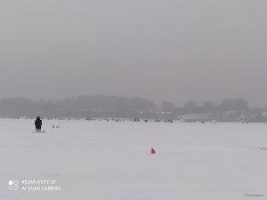 161129465770329991670984896108.jpg