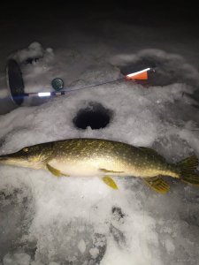 IMG_20210123_013504.jpg
