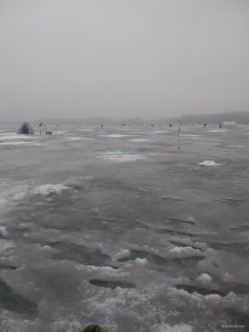 IMG_20210123_074621977.jpg