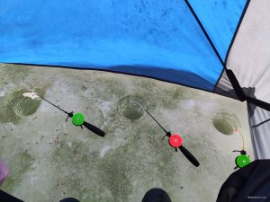 IMG_20210123_092444.jpg