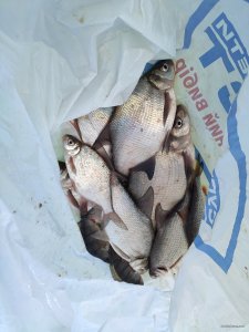 IMG_20210123_120840.jpg