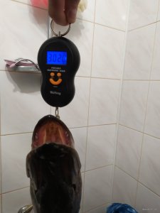 IMG_20210123_162245.jpg