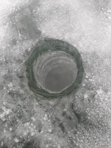20210124_113028.jpg