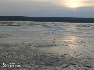 IMG_20210124_153634.jpg