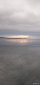 20210126_074549.jpg
