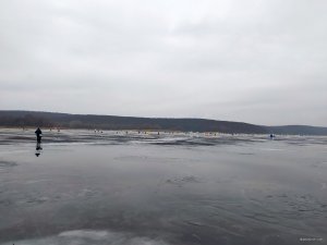 IMG_20210124_073615.jpg