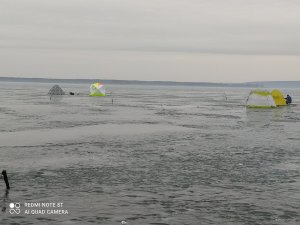 IMG_20210127_124225.jpg